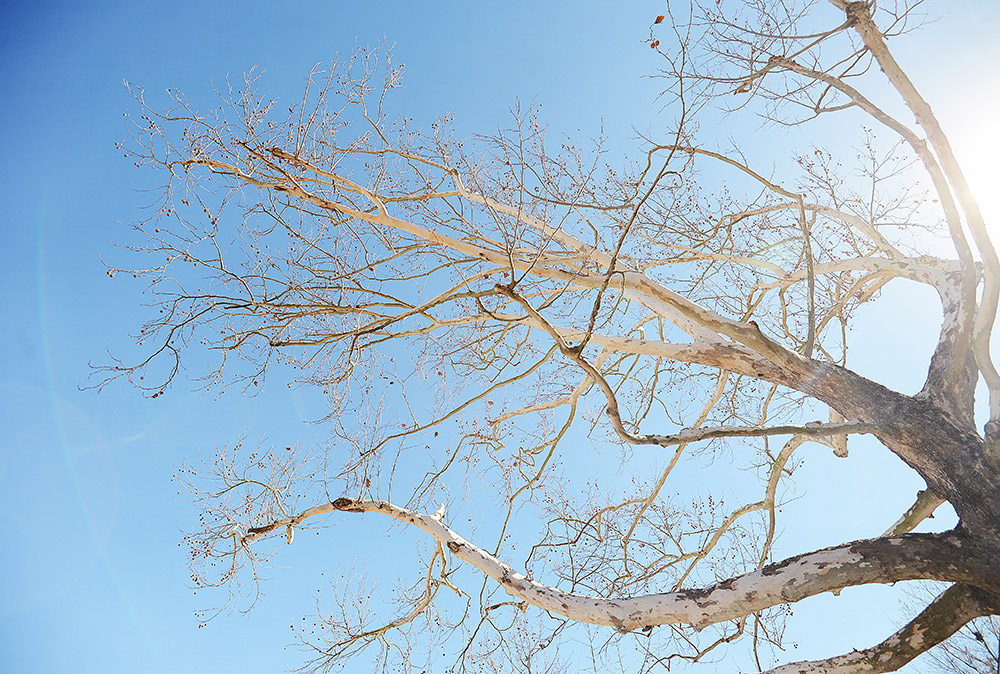 Suburb of Houston, Texas, January 21, 2014