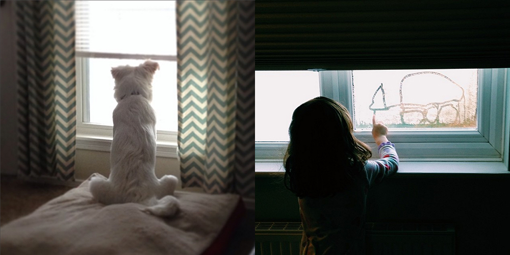 Left: &nbsp;@amandacthallRight: &nbsp;@staceyechin 