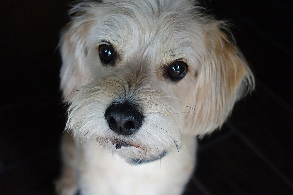 1/160 sec; f/2.8; ISO 1250