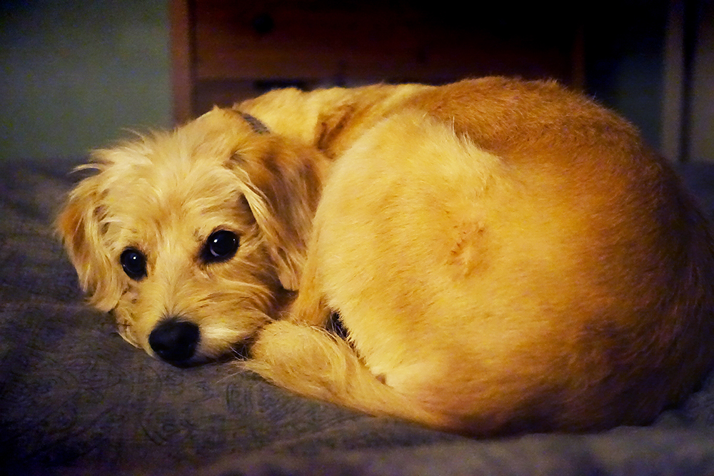 1/25 sec; f/2.8; ISO 6400