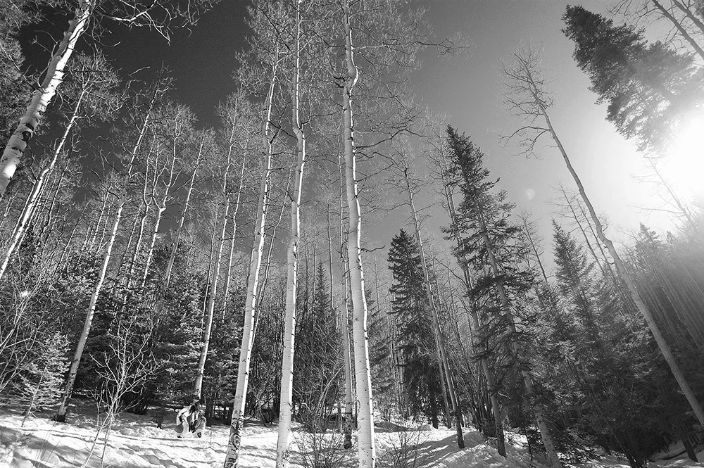 Santa Fe, New Mexico December 2013
