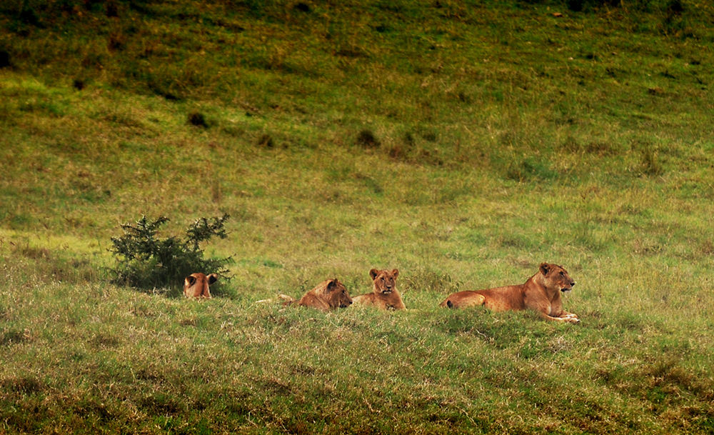 Kenya, July 2011