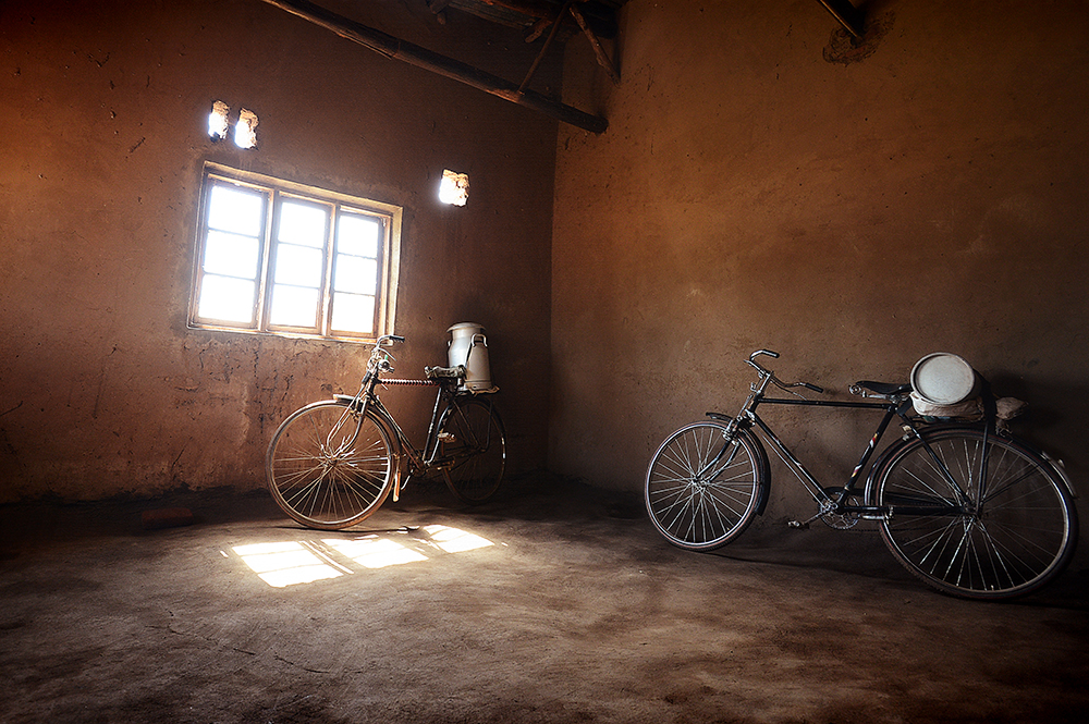 If a farmer is lucky enough to have a bike, he or she will transport the milk they collect daily in the manner you see above to the milk bulking facility. &nbsp;Otherwise, the farmer will carry it (often on her head) the 10 to 20 kilometers to the f…