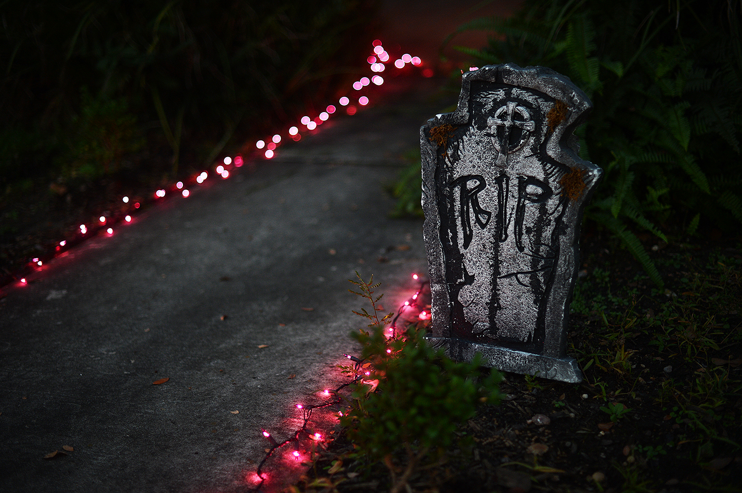 Photographed October 31, 2016.