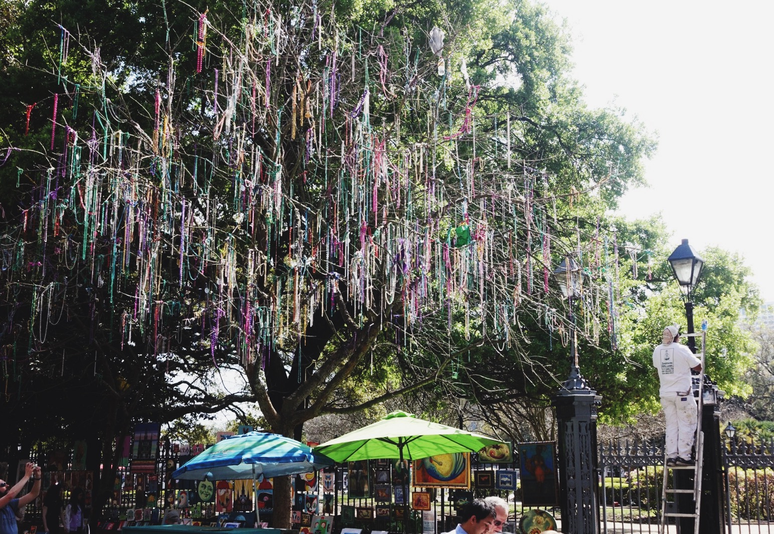 In New Orleans, even the trees wear beads.
