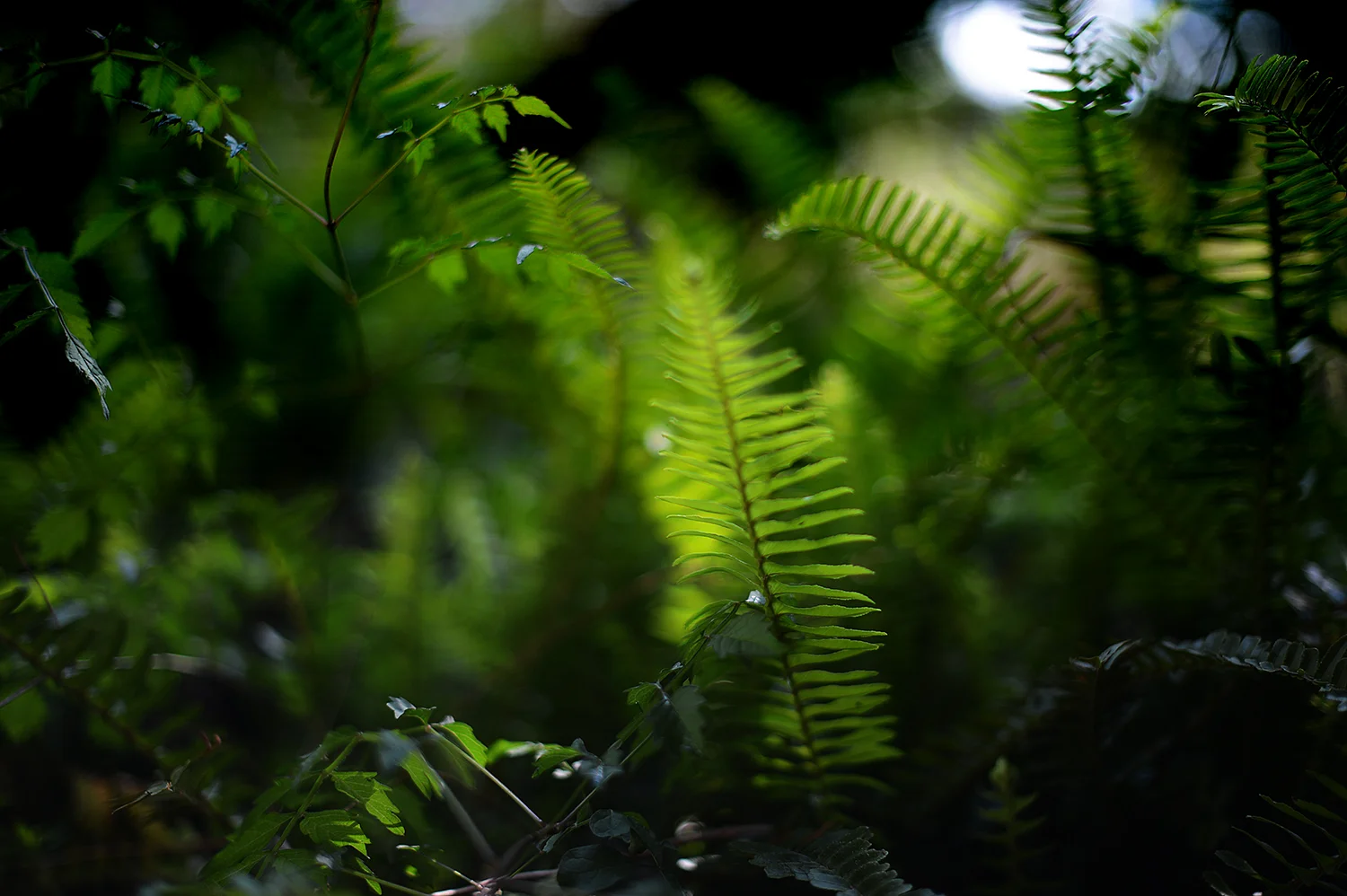 thrive out loud:  my appearance on the edit your life show