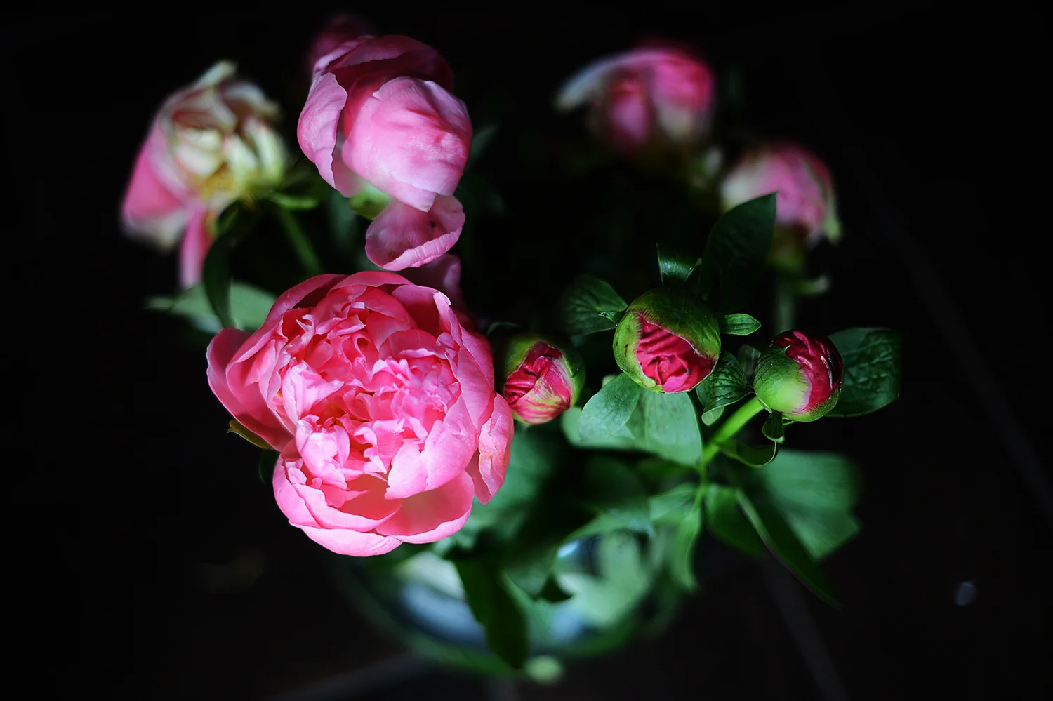 big news:  GLOW, my brand-new ecourse for claiming your light, is now open for pre-registration!