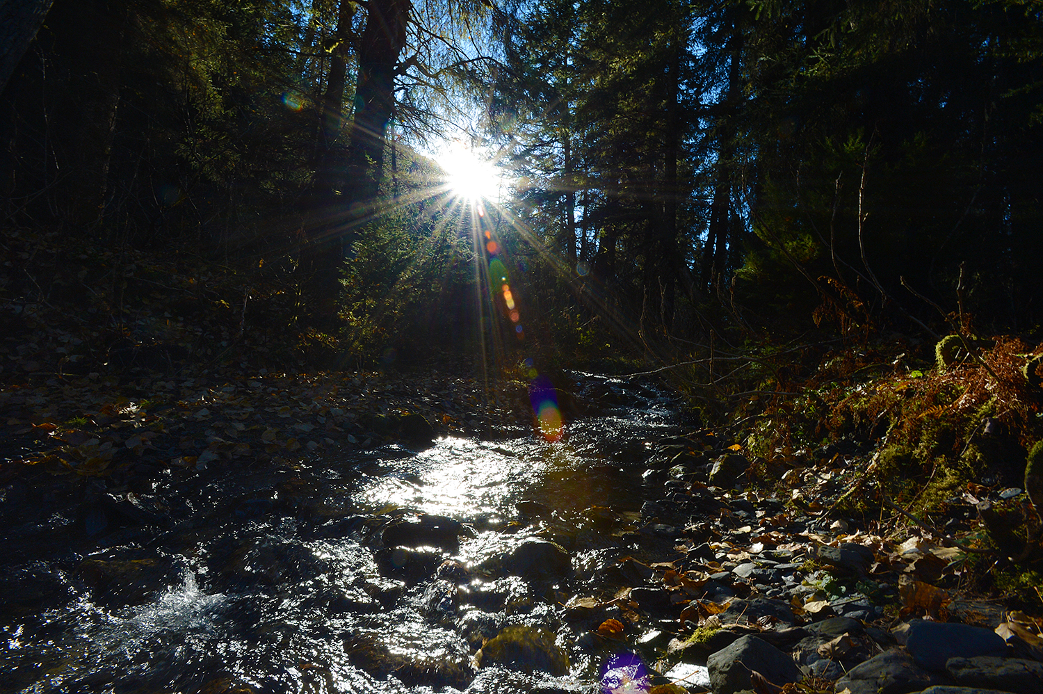 alaska, usa :: october 2016