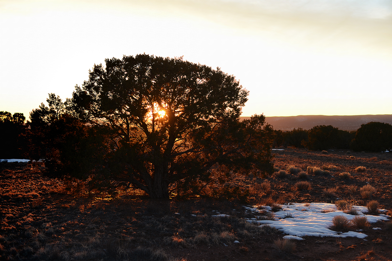 santa fe & northern new mexico, usa :: december 2013 - january 2014