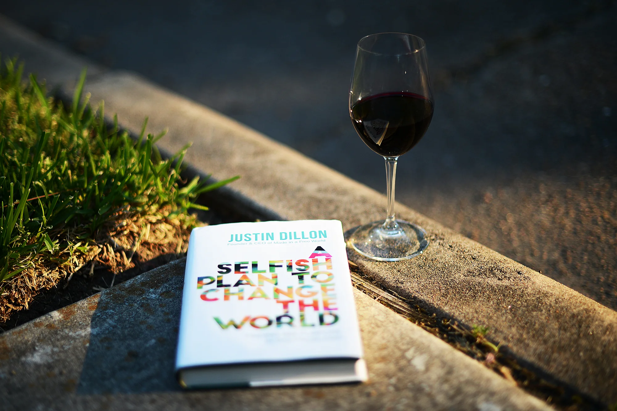 a selfish plan to change the world