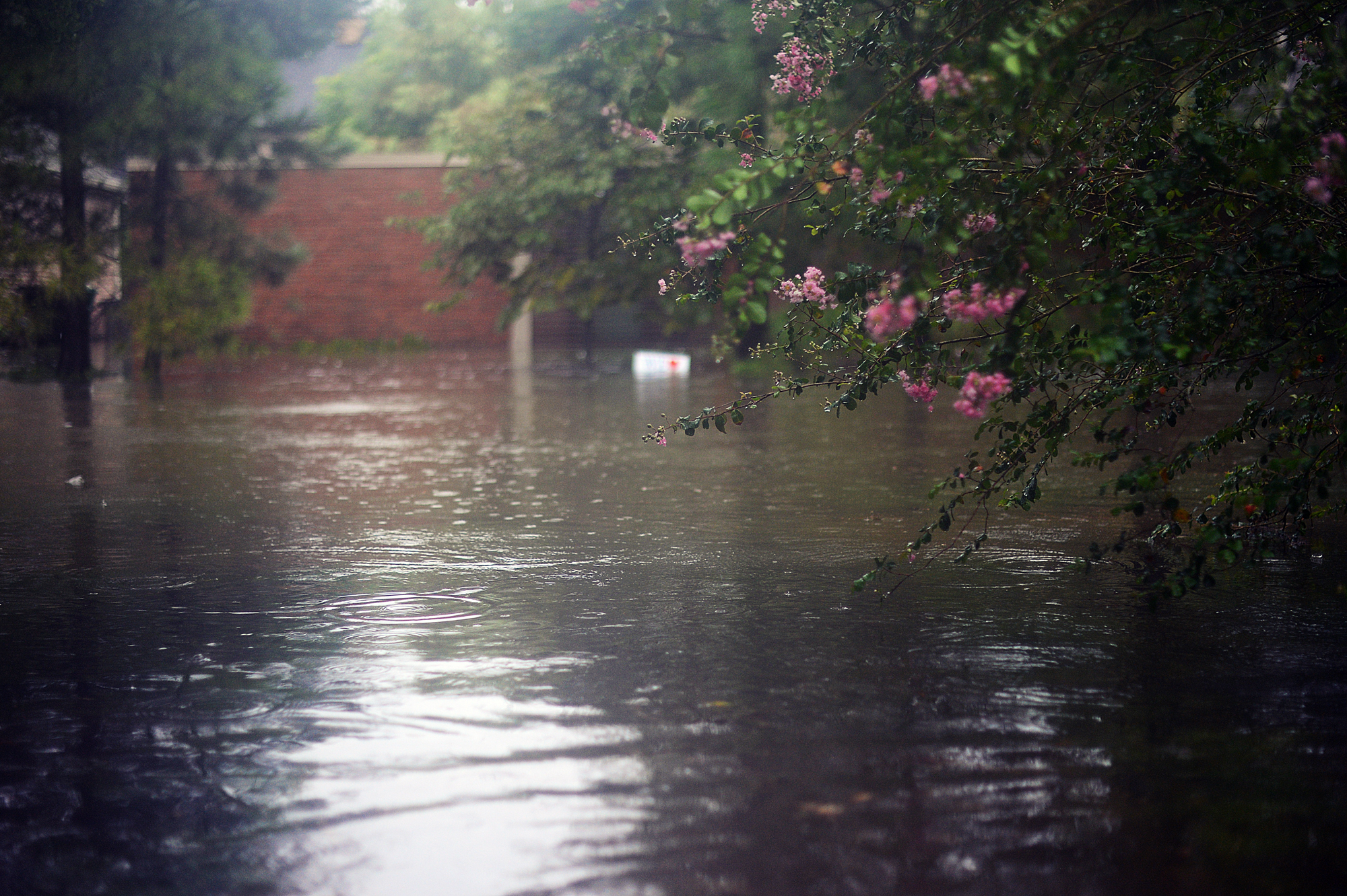 The view from our front door as we waited for our friend to arrive with his kayak, to evacuate. The first time.