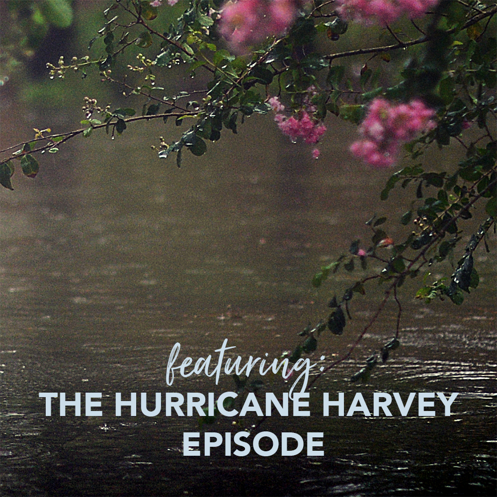 make light, season 1, episode 6:  the hurricane harvey episode
