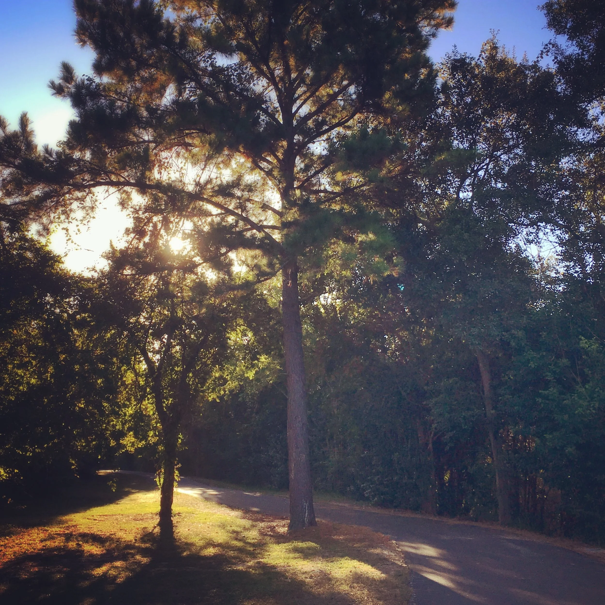 this was a good week