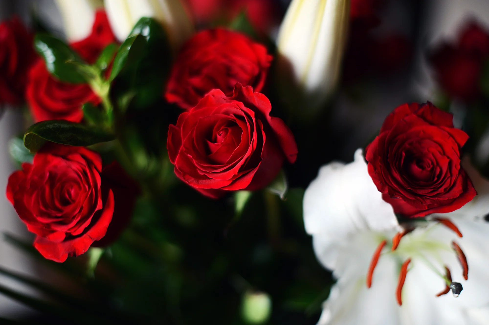 this was a horrific week. we need beauty more than ever.