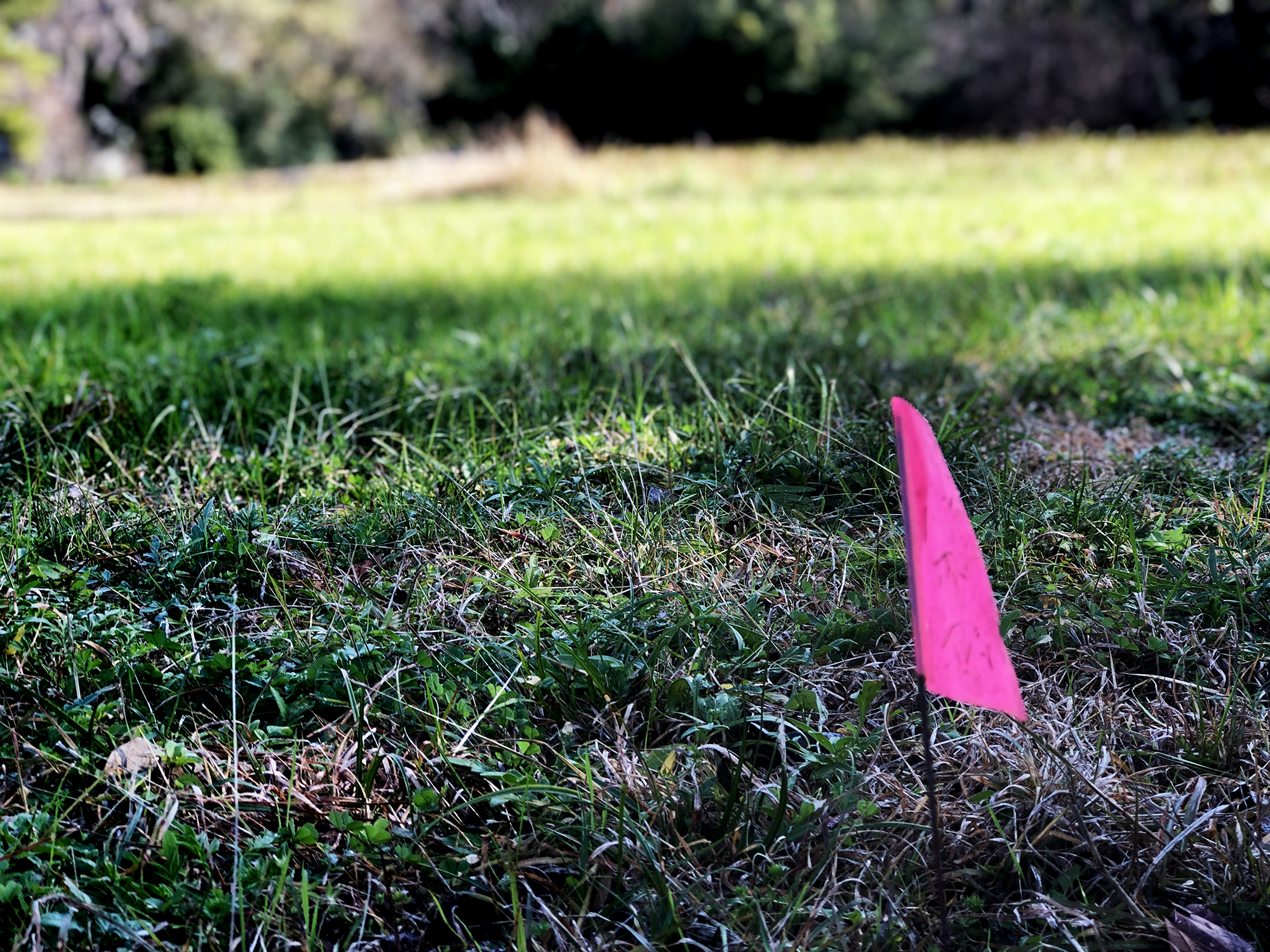 putting a stake in the ground