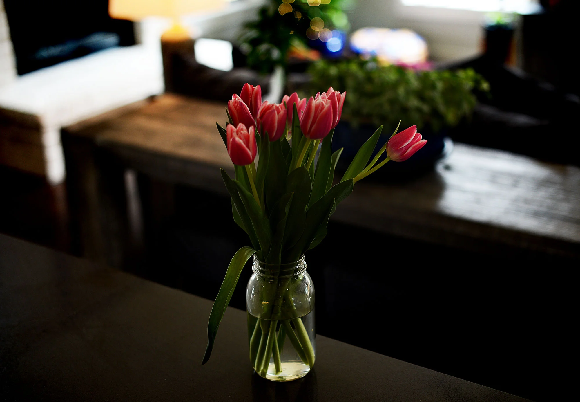 190204morning.jpg
