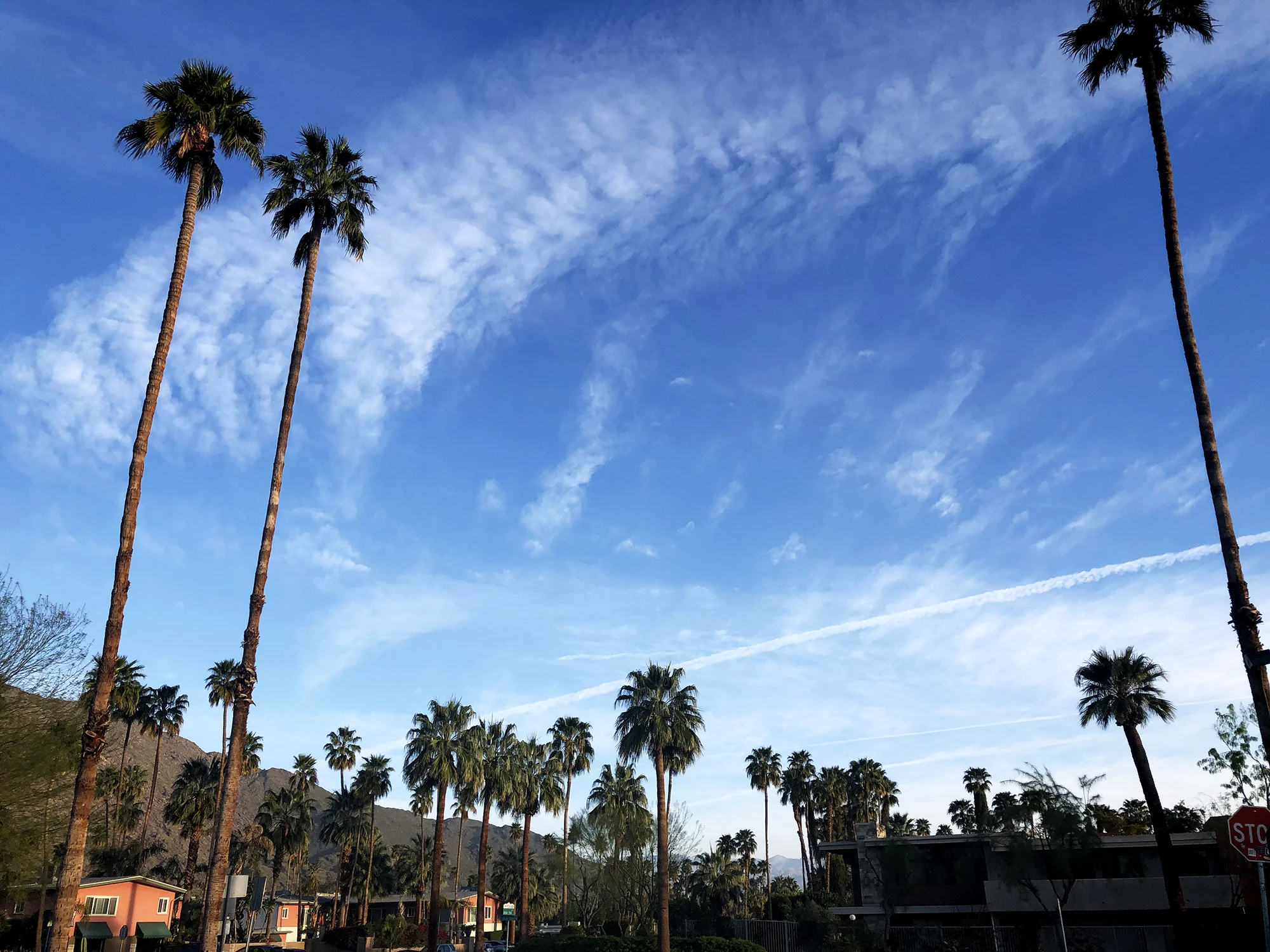 Palm Springs, March 2019.
