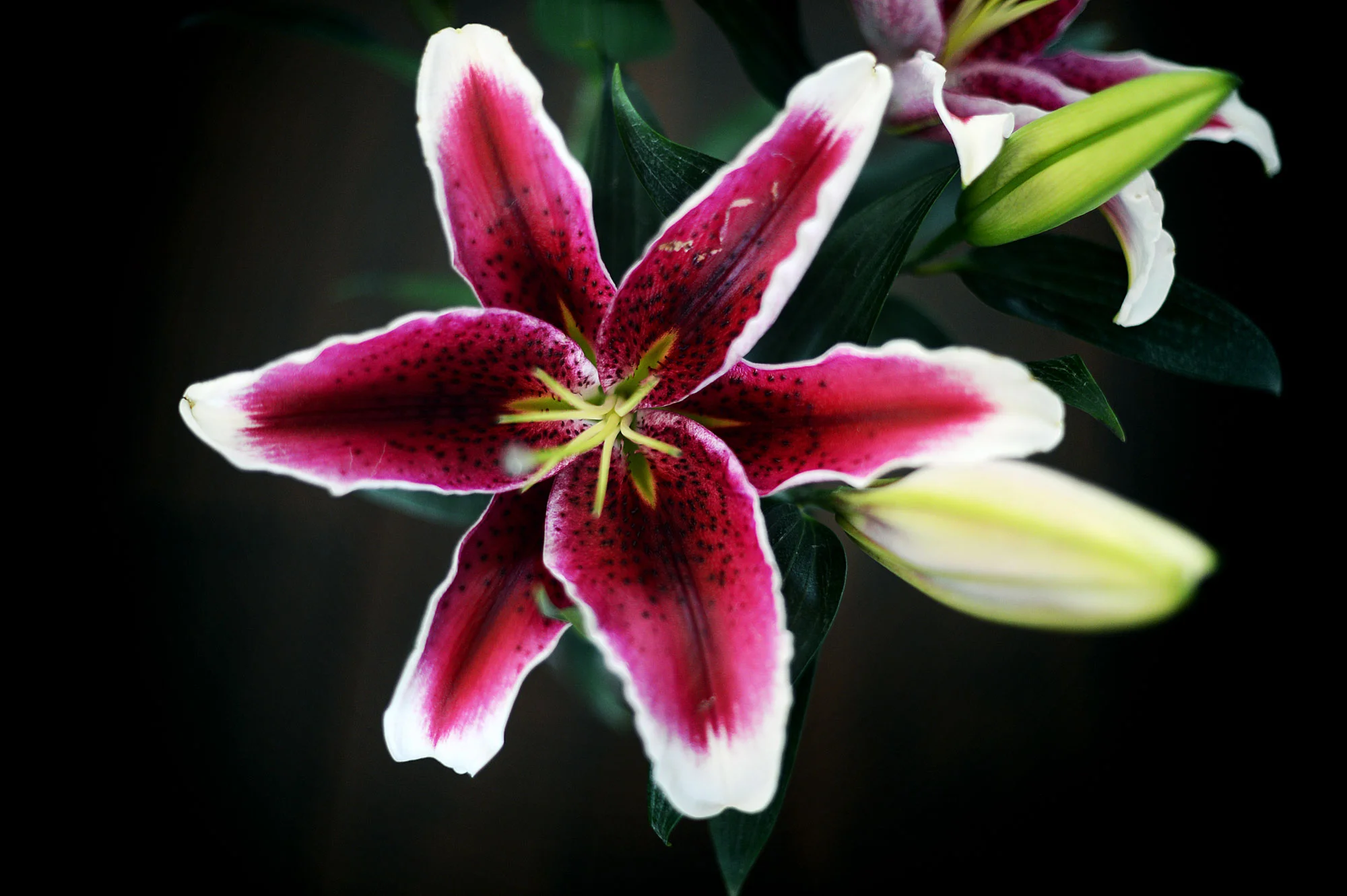 back to school (a gift for you)