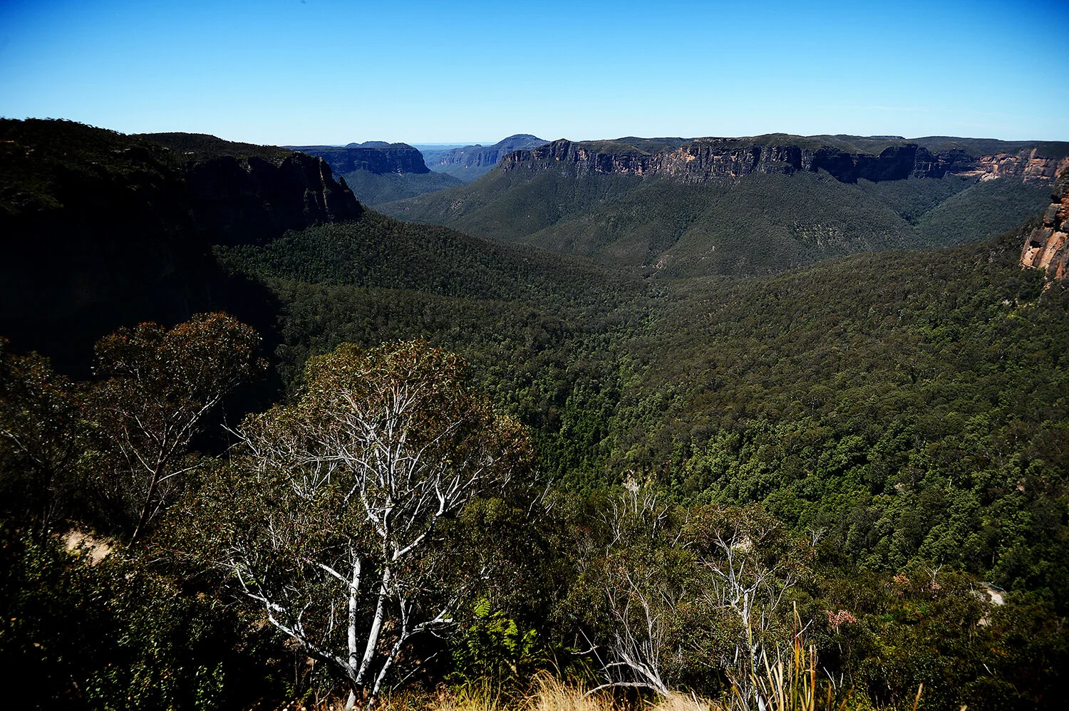 memories of australia (and how you can help)