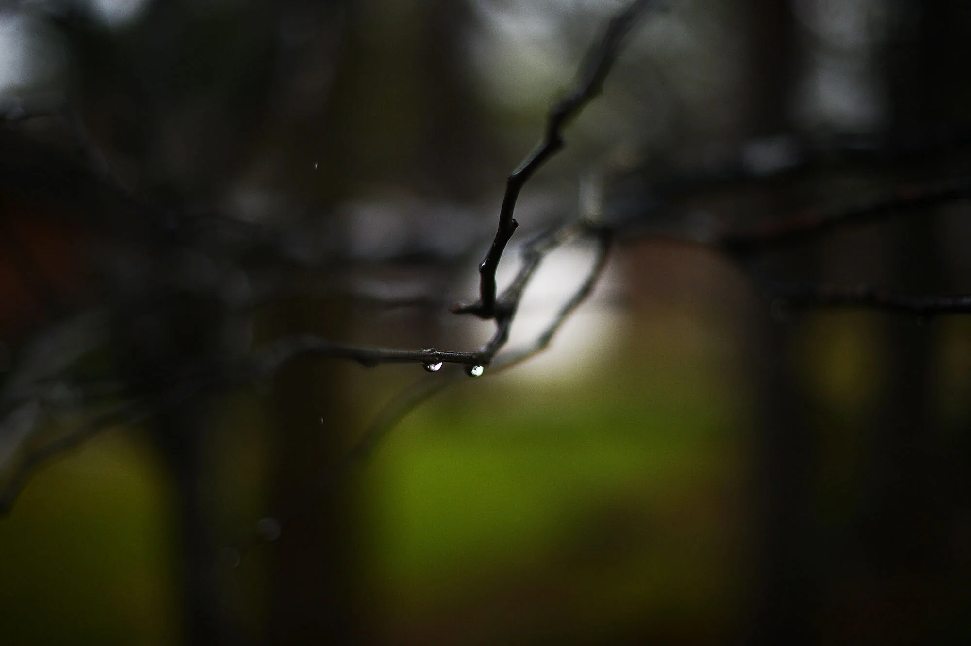 making light in the dark