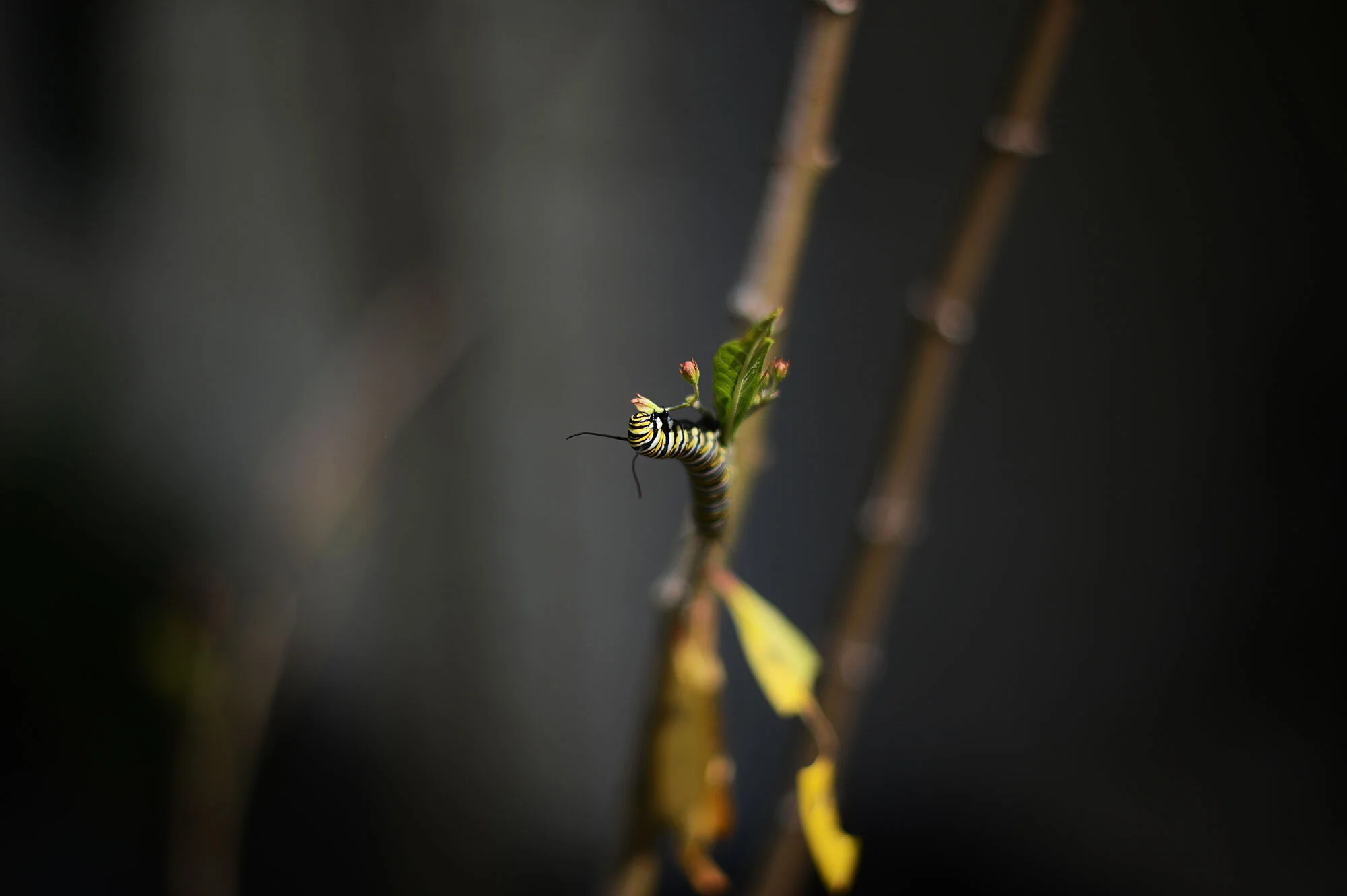 be still