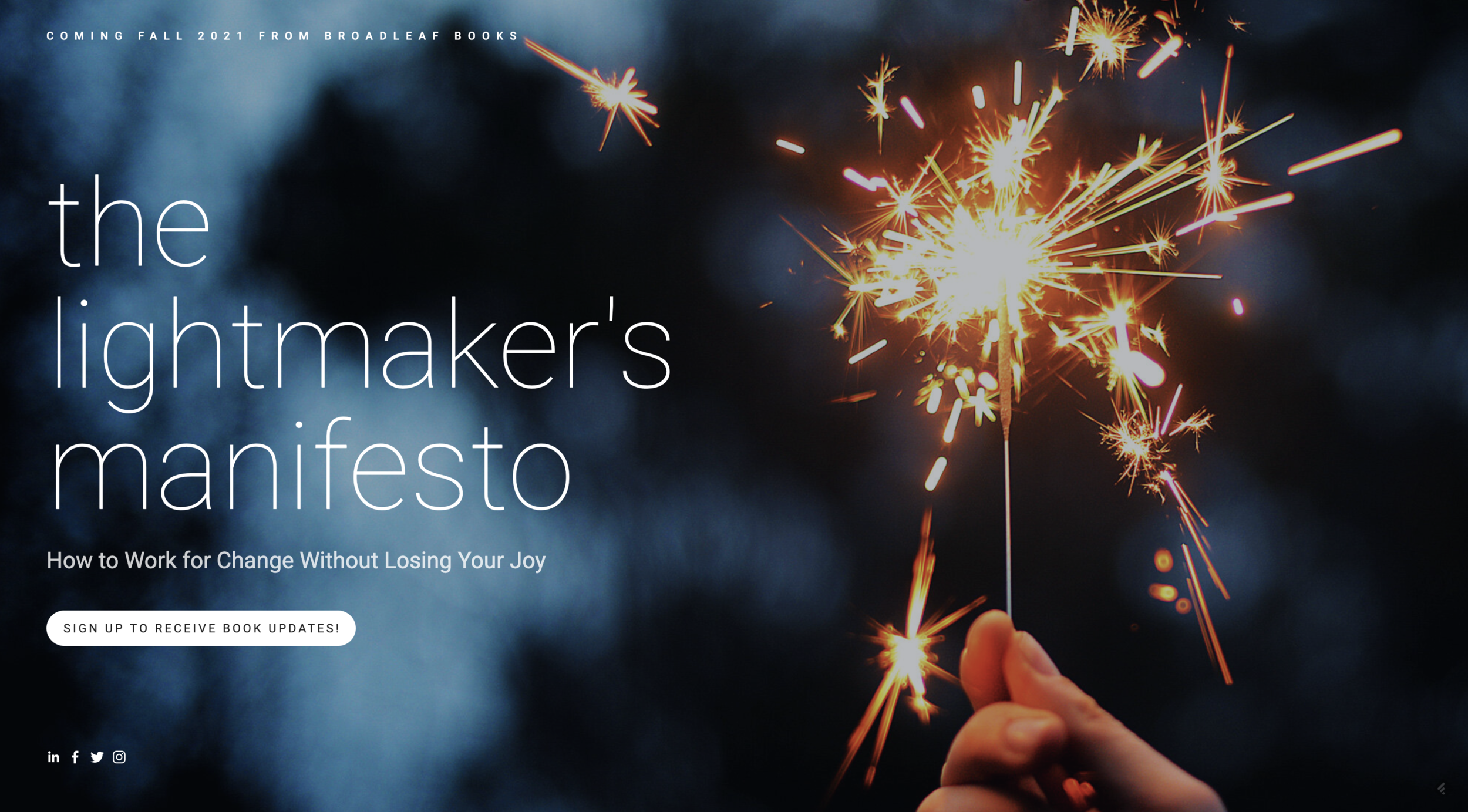 the lightmaker's manifesto: how to work for change without losing your joy (37/100)