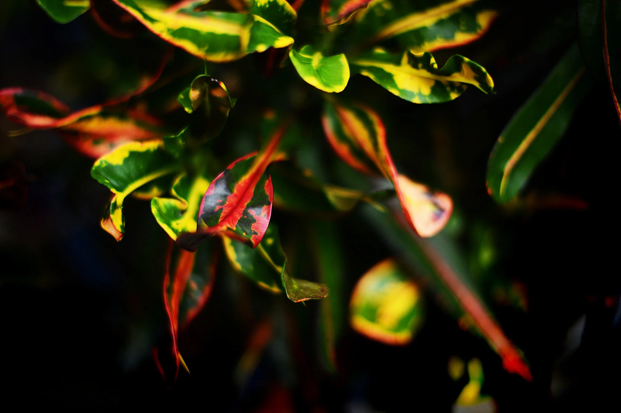 waiting for the rain (59/100)