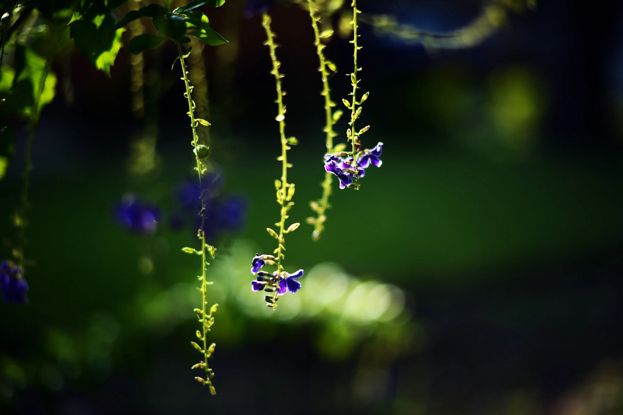 no this-was-a-good-week post today (71/100)