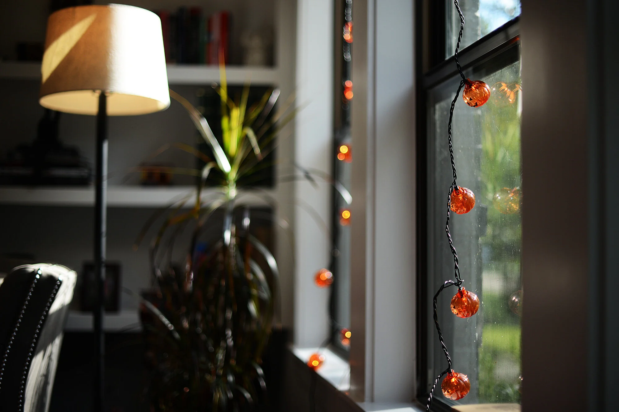 it's beginning to look a lot like ... halloween (87/100)