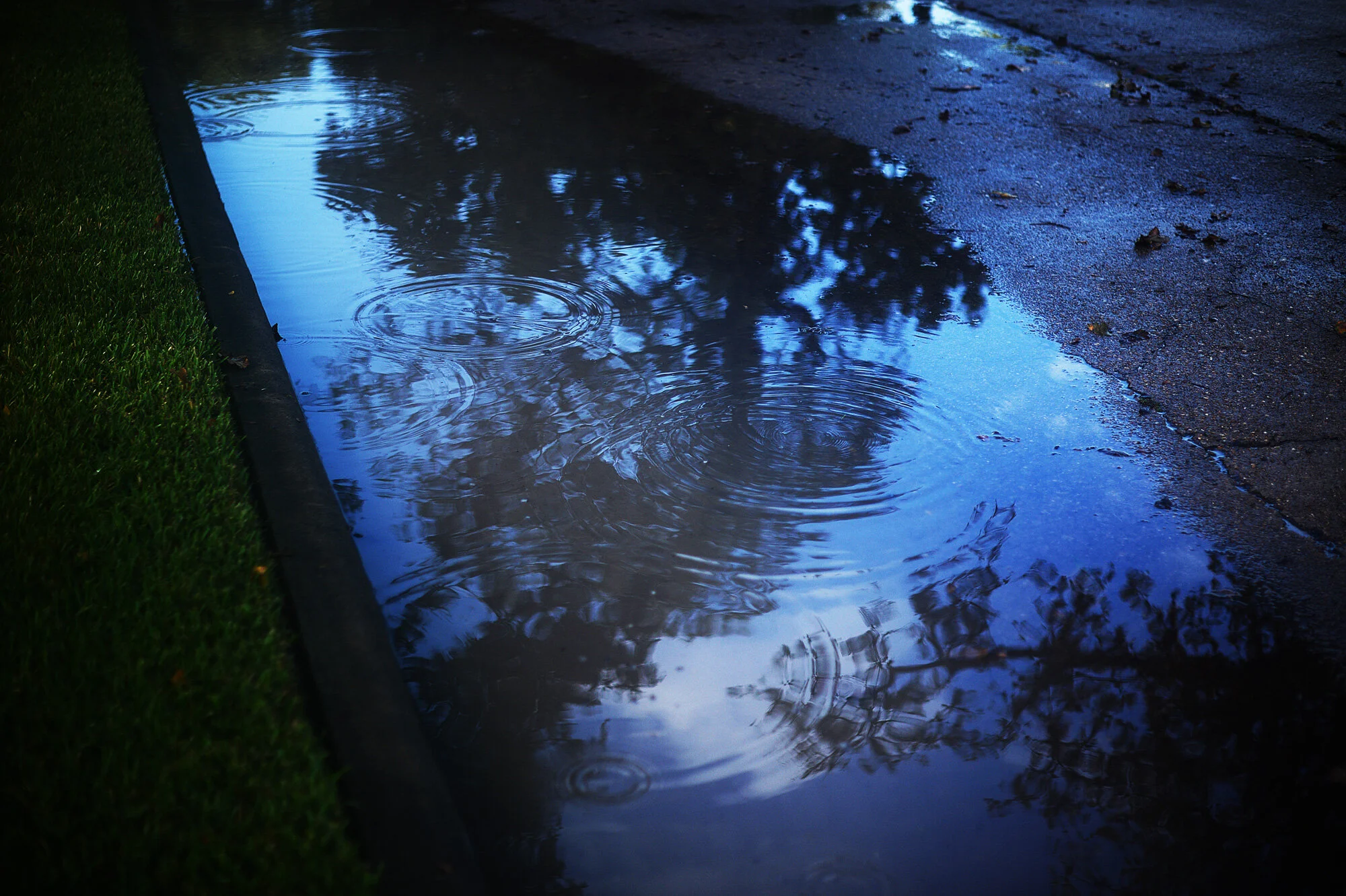 rainy days and mondays (88/100)