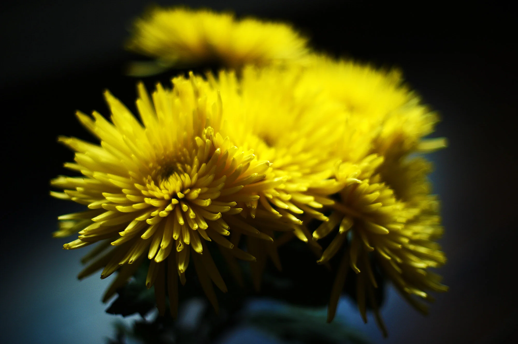 forcing mindfulness and light (90/100)