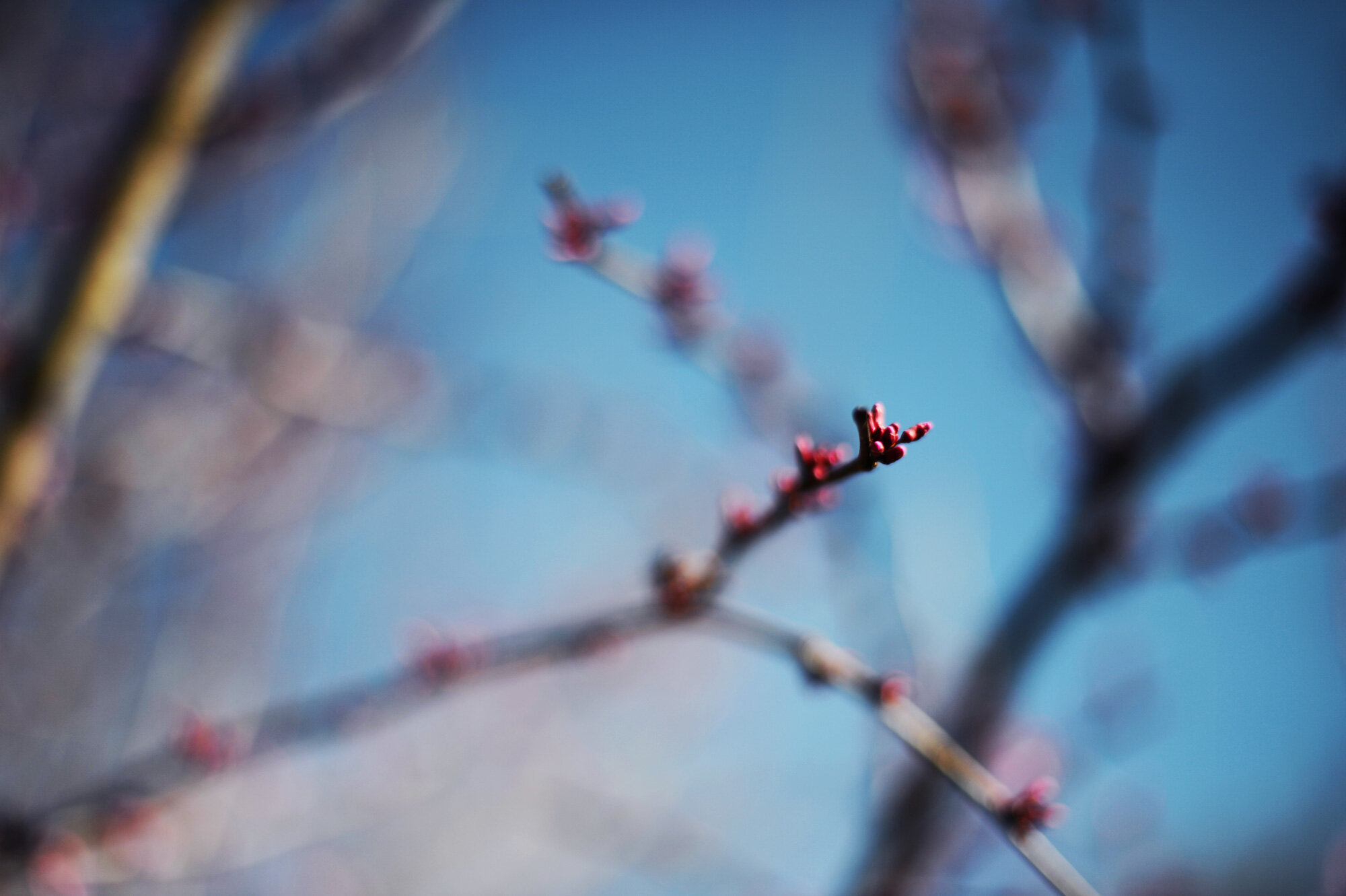 random thoughts:  signs of hope