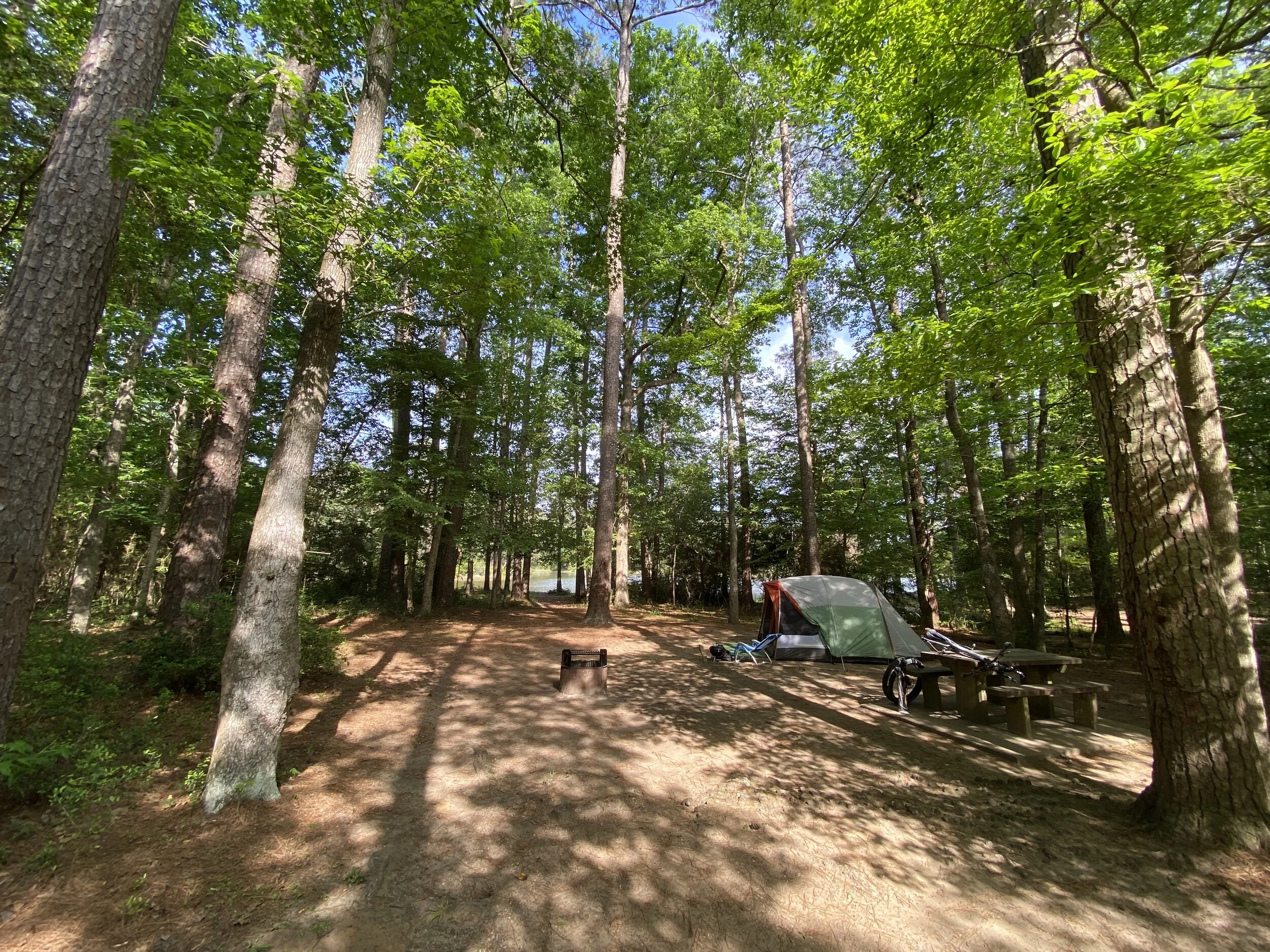 a little list of good things