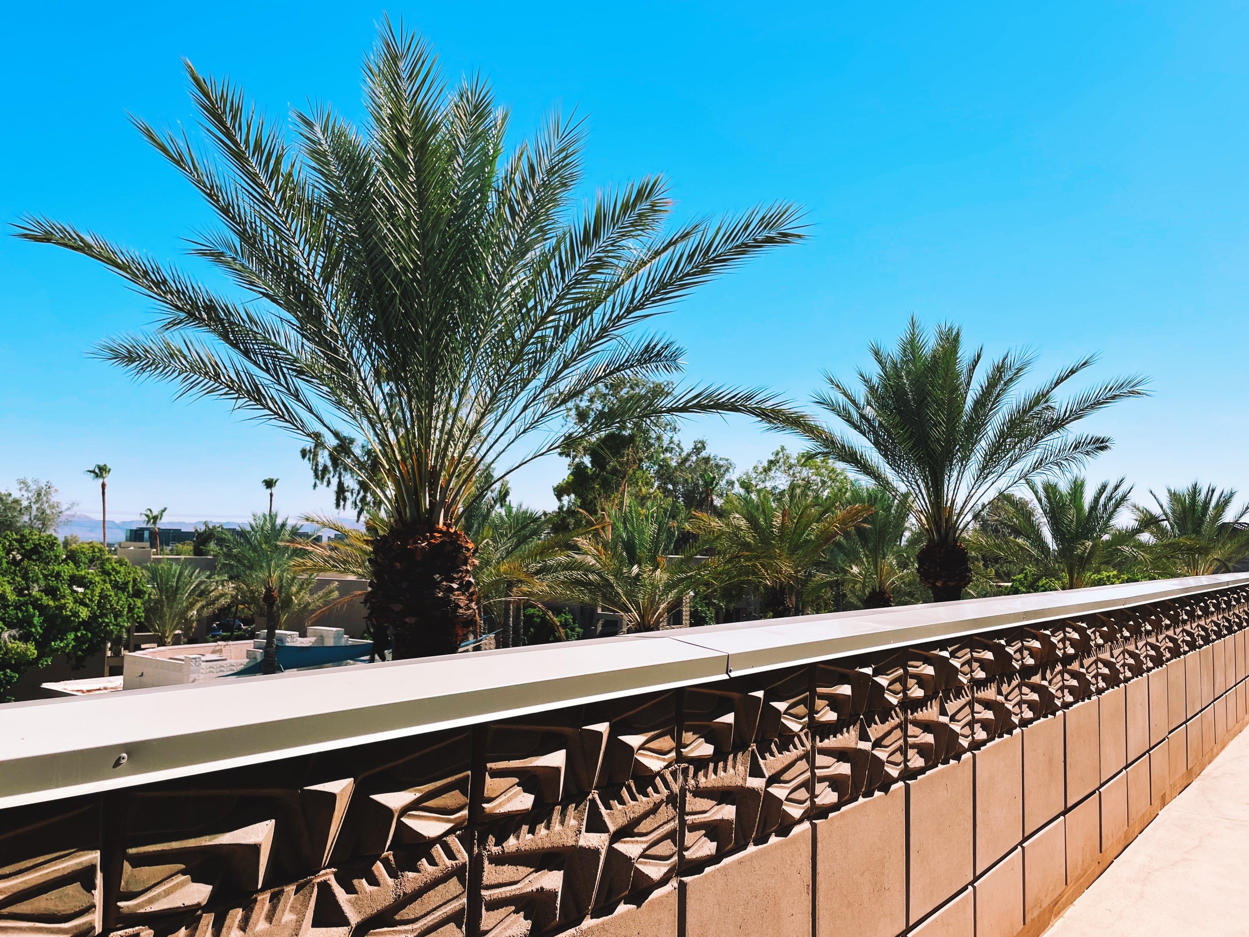 a little desert and a lot of writing