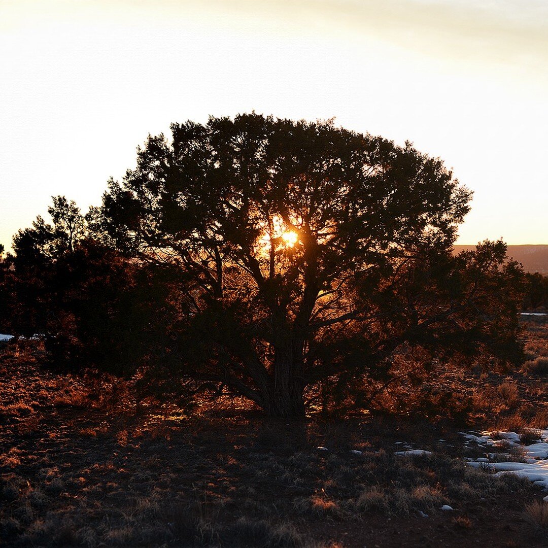 I took this photo ten years ago on a magical trip to Santa Fe. 

Santa Fe has always been a very special place to my family and me, for all sorts of reasons -- and I'm thrilled that I'll be returning at the end of this summer. It's been too long.

An