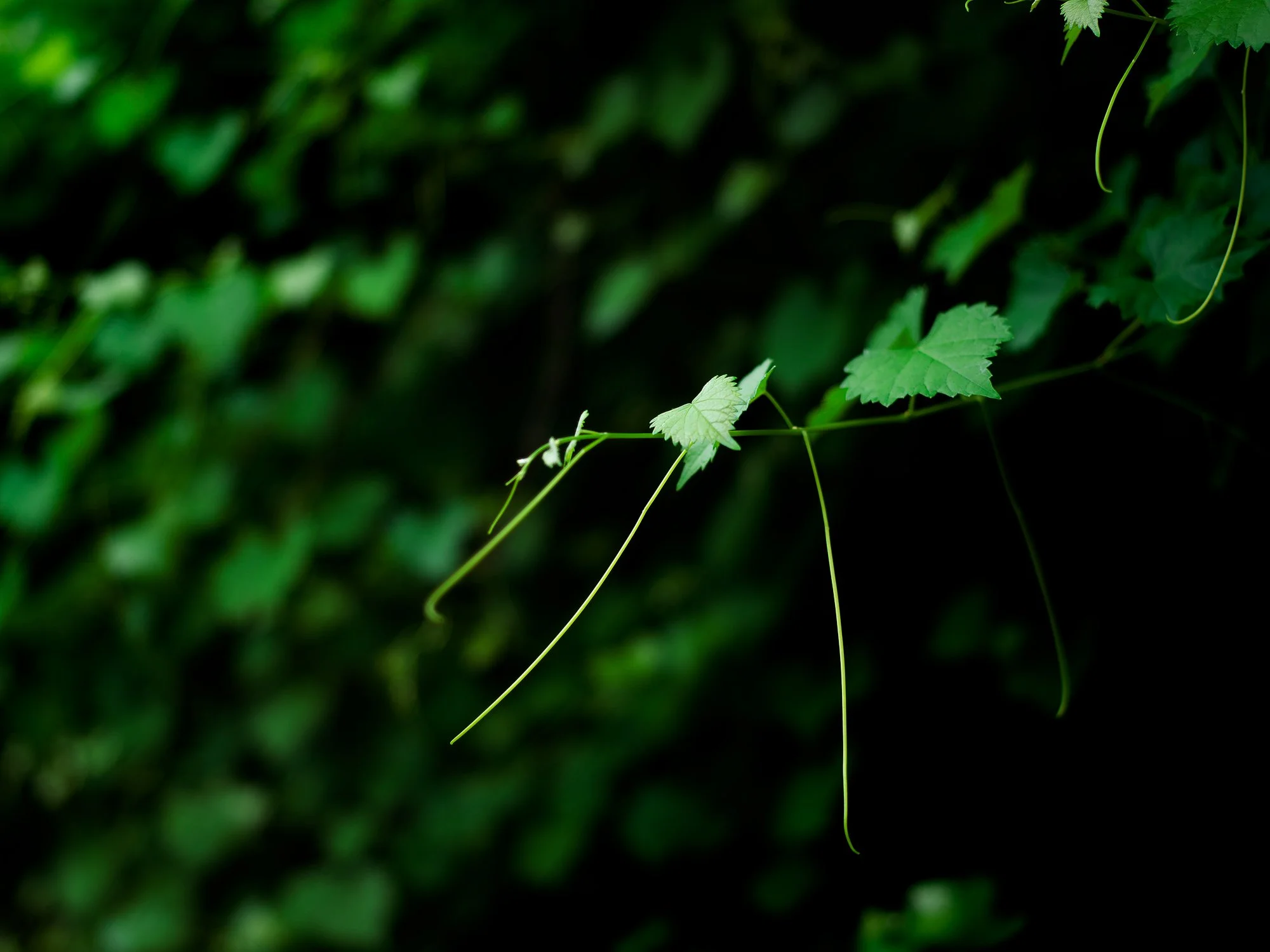 reaching toward creativity