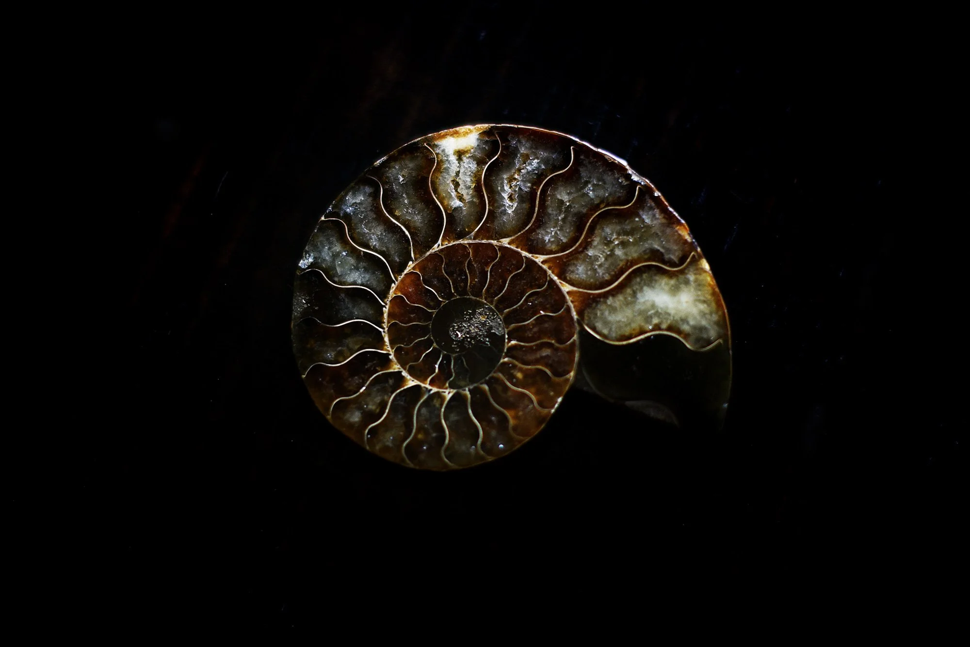 sequences, spirals and a literary award