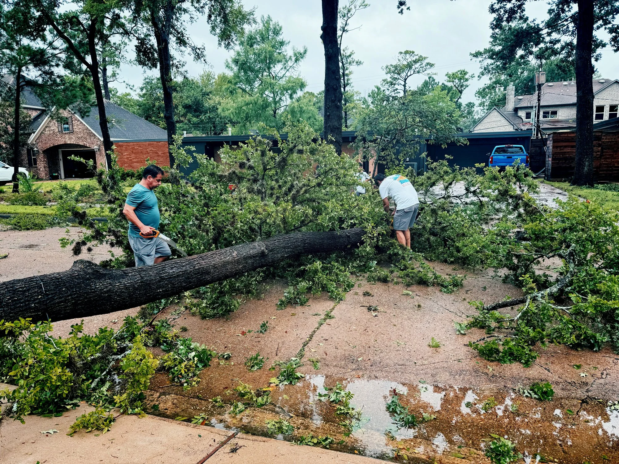 the light in a hurricane