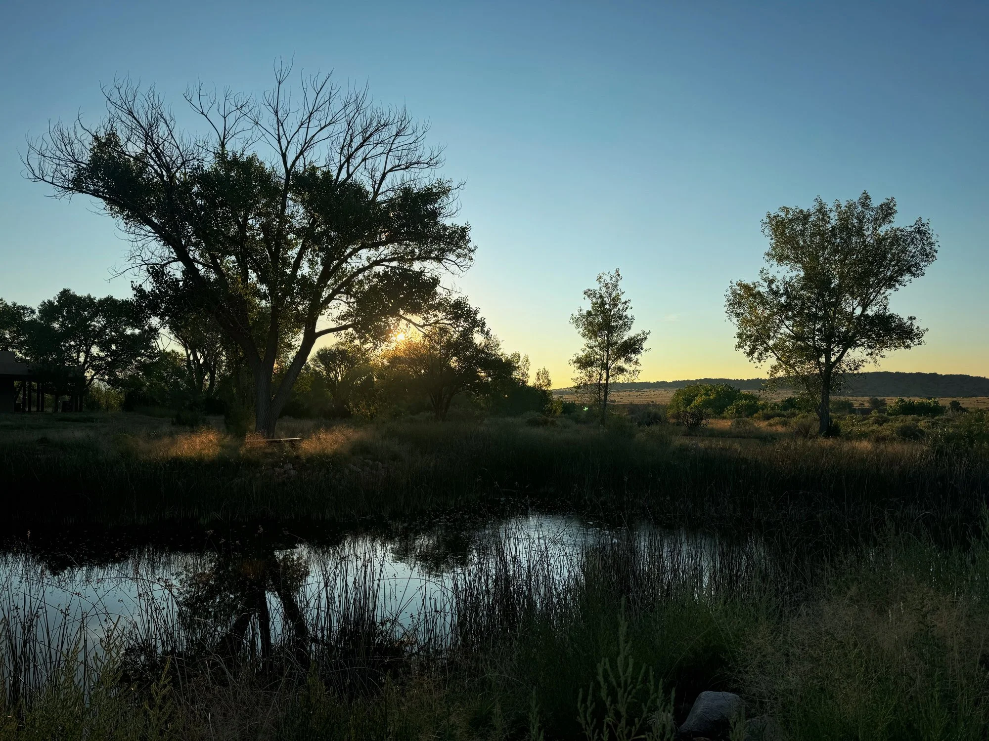 the self-compassion of the desert