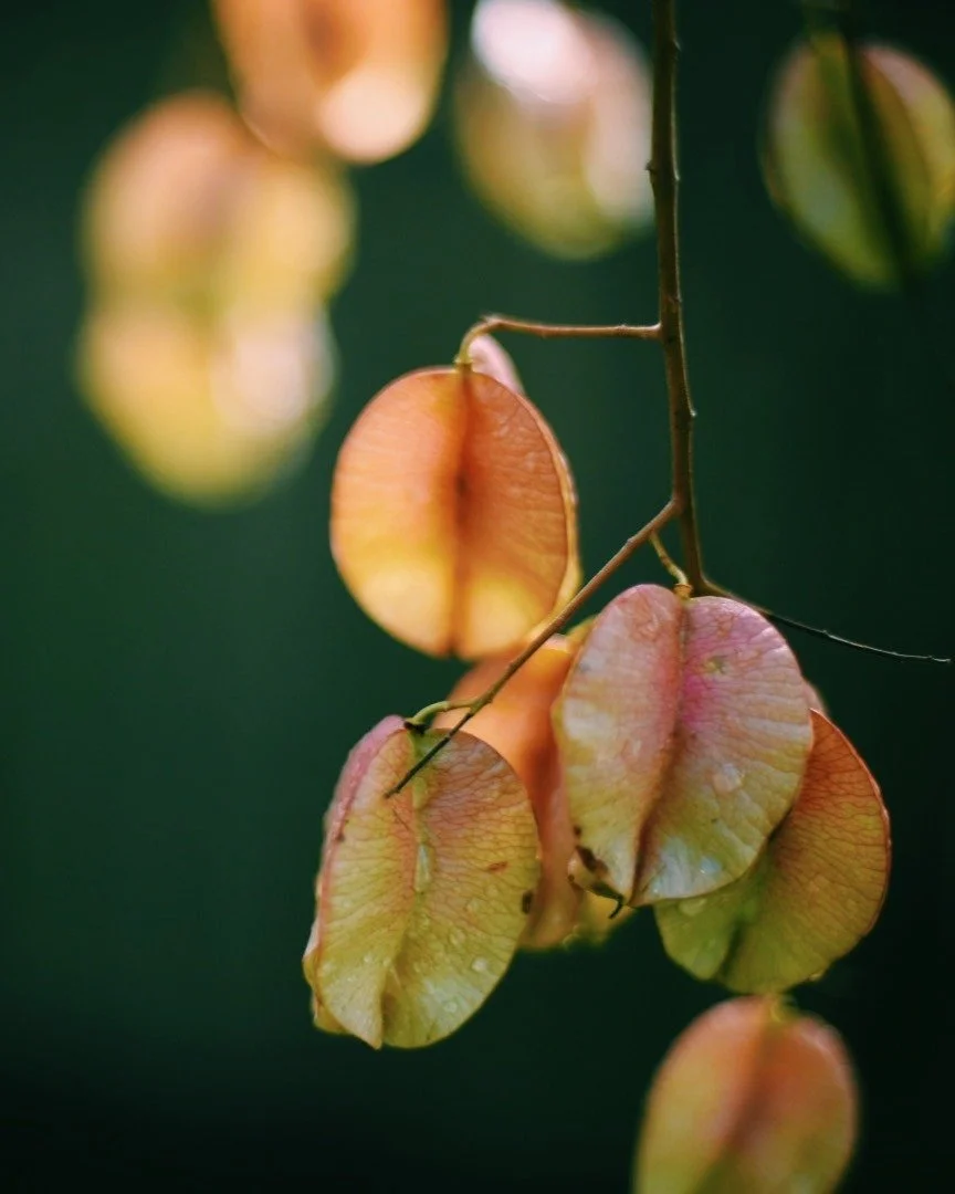 &quot;And I remembered: this is how I felt years ago, during a time of my life when I was shooting every single day. There&rsquo;s something that happens when you take the time to stop and look. It&rsquo;s so grounding. And in ways that are difficult