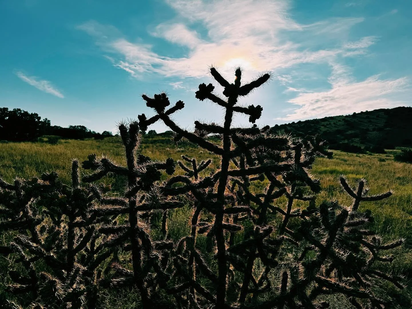 &ldquo;But to be fair, I have thoughts similar to these every time I travel, especially when I travel somewhere I haven&rsquo;t been before. Whether it&rsquo;s the bush of Australia, or the city of San Francisco; a village in Malawi, or the city of P