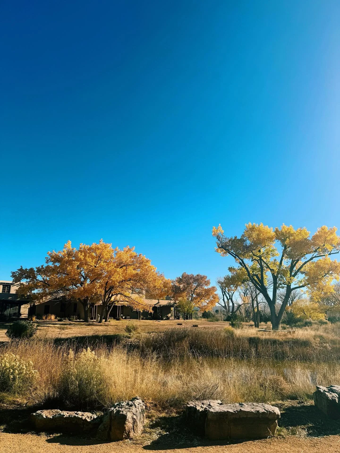 I&rsquo;m at the magical @meawisdom talking all things radiant living &hellip; and nature understood the assignment. #radiantrebellion 🌞