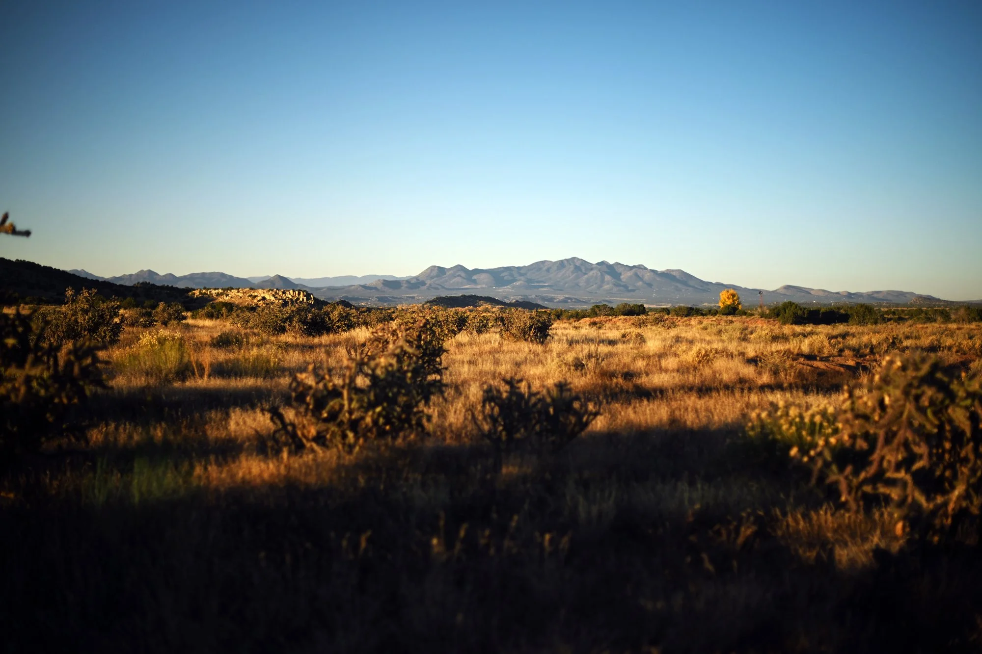 a reminder in the desert