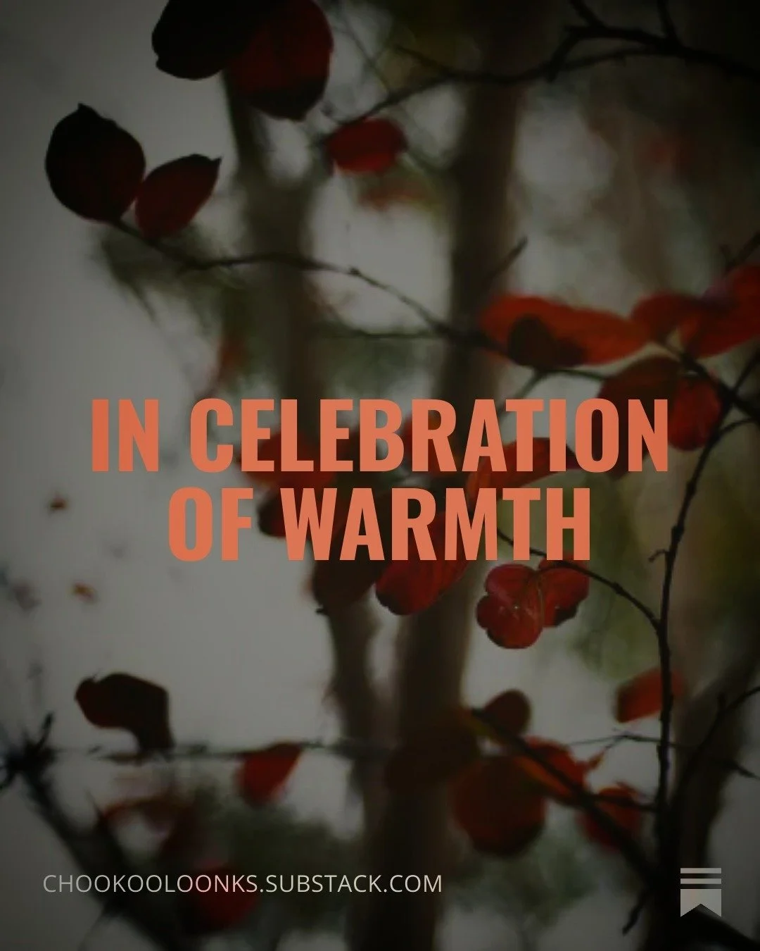 "I&rsquo;ve long held that kindness &mdash; as exemplified by the citizen journalists, Alex and Renee, and, well, the entire city of Minneapolis, apparently &mdash; underpins all activism: anger might be the reason we&rsquo;re activated, but kin