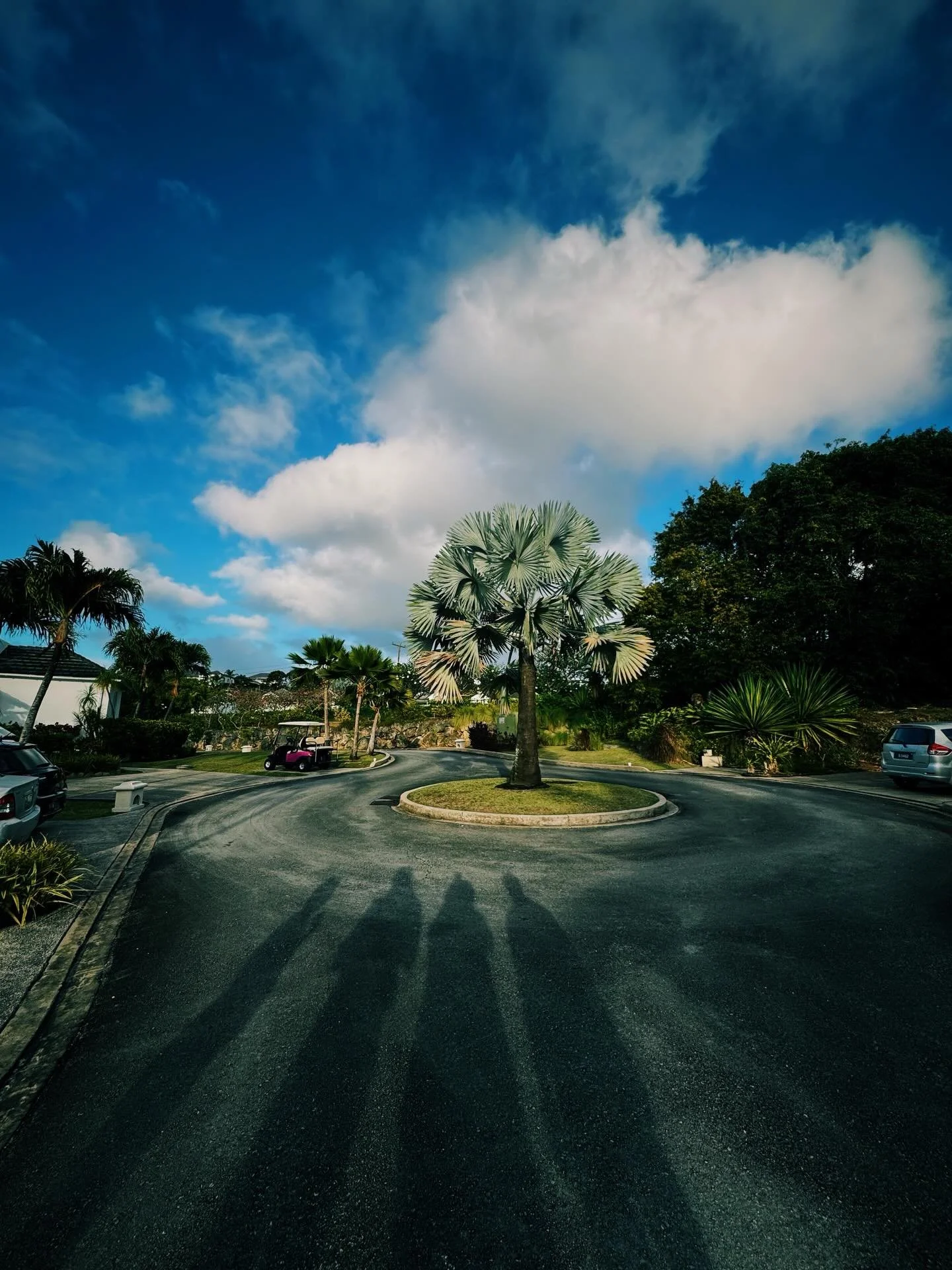 Evening walk with my family. It&rsquo;s good to be back in the Caribbean. We're not in Trinidad, but it feels close enough. #Barbados