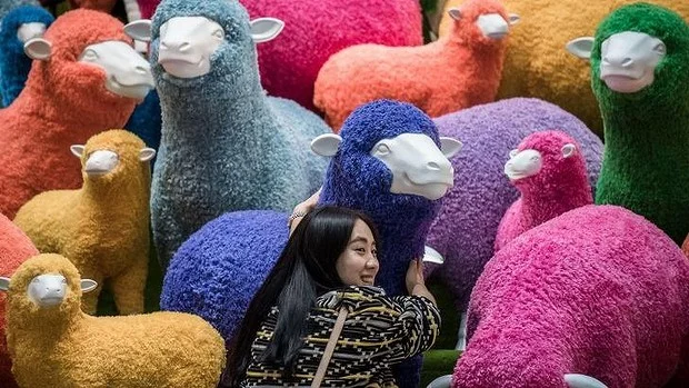 afp.photo.year of the sheep.jpg