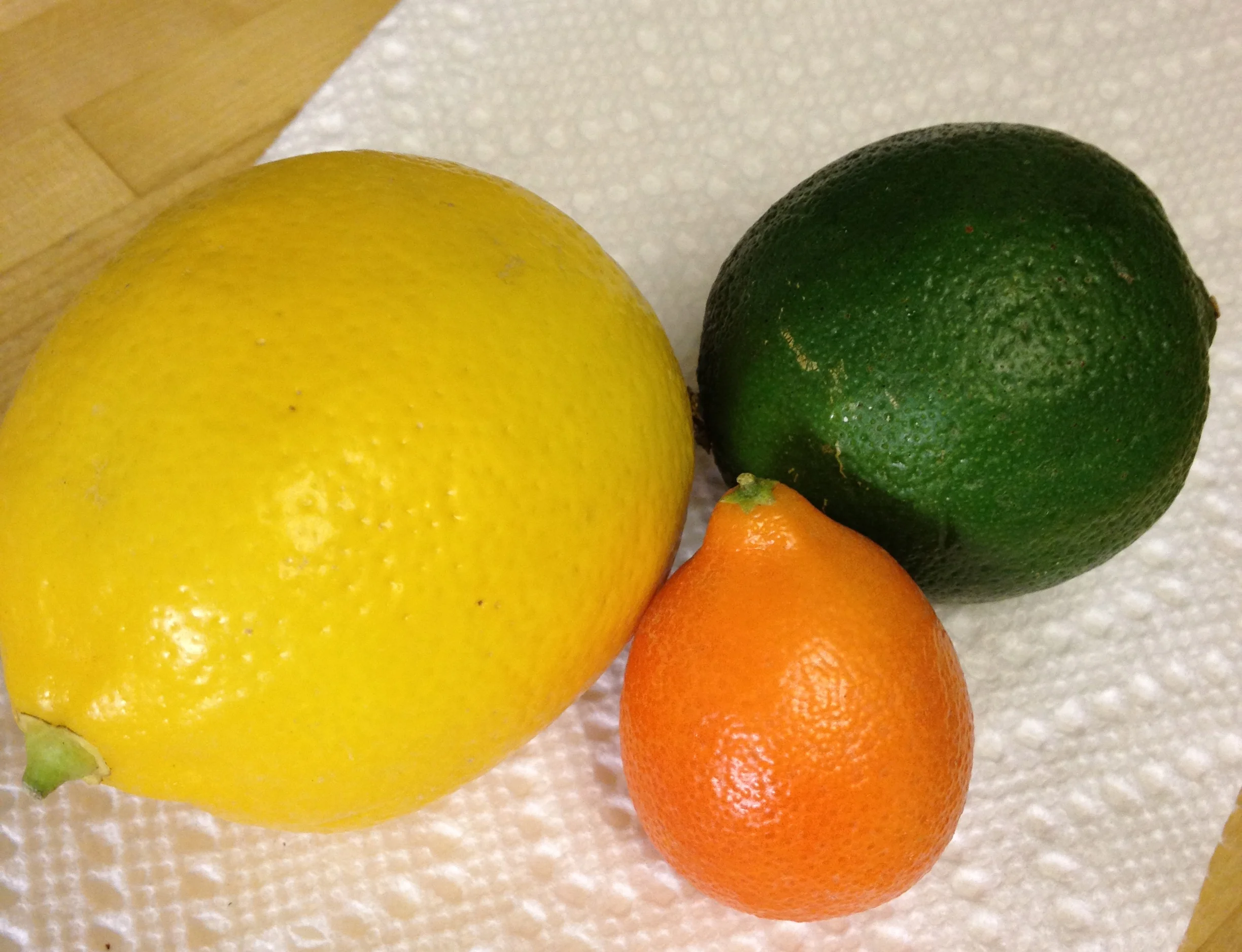 Mandarinquat! (next to a Meyer lemon and a lime) 
