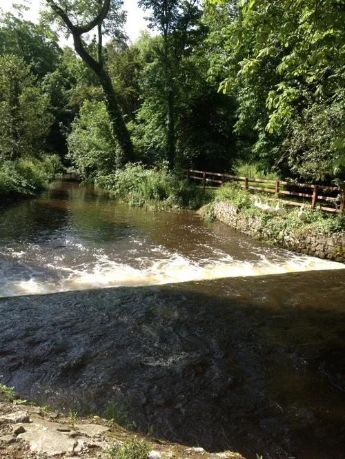 2012-06-19 10.50.18.jpg