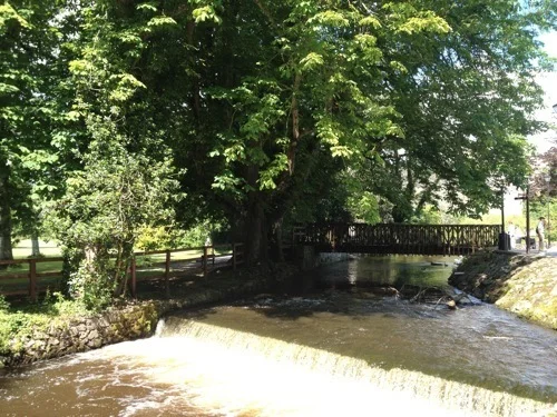 2012-06-19 11.50.14.jpg