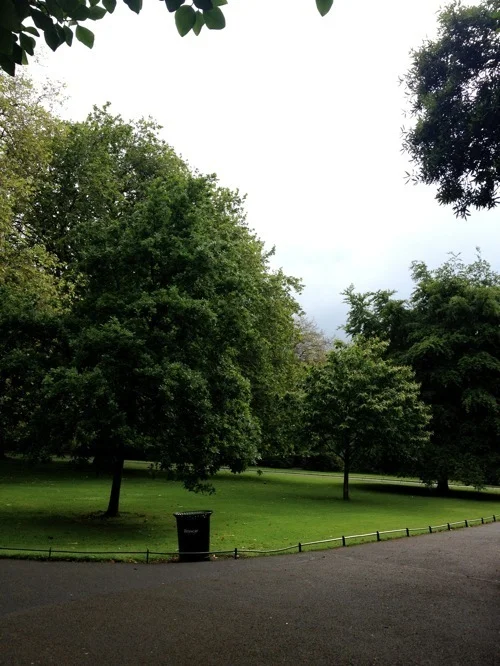 2012-06-16 08.38.12.jpg